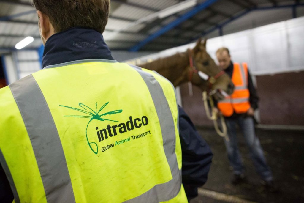 Intradco Global names Charlie McMullen as Chief Executive Officer and looks towards future diversification