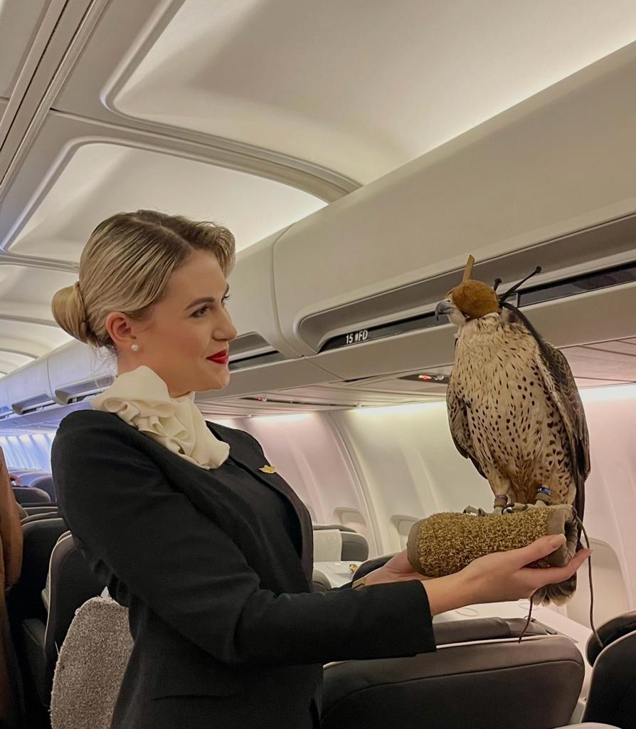 Exclusive Animals on Board – The Care and Expertise Behind the Scenes